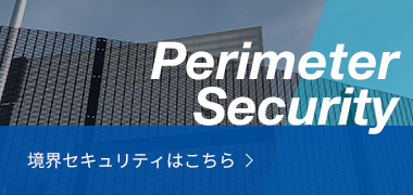 perimeter security